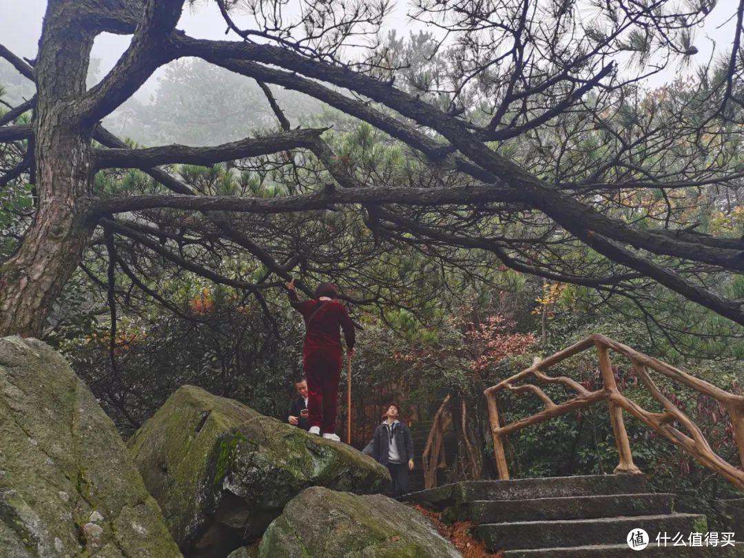 不识庐山真面目，只缘身在雾海中，庐山两日游