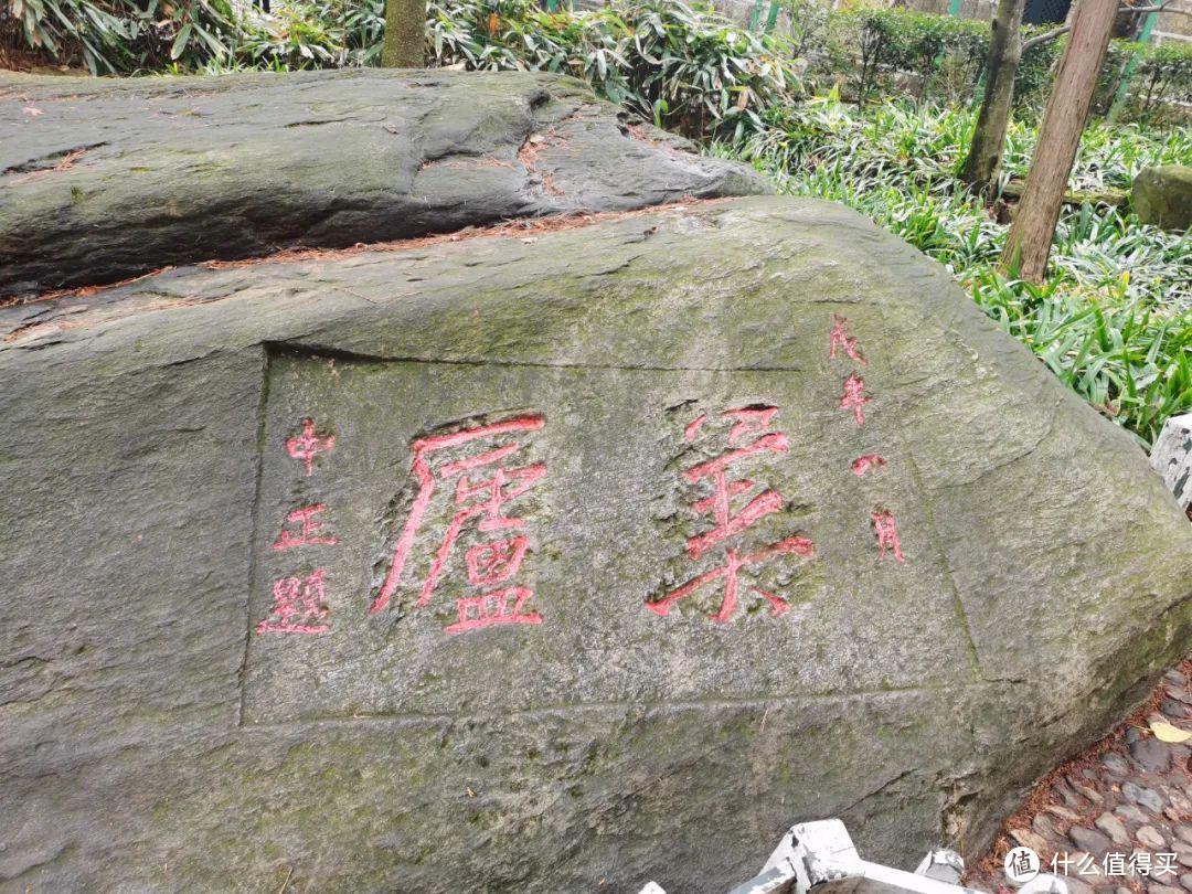 不识庐山真面目，只缘身在雾海中，庐山两日游