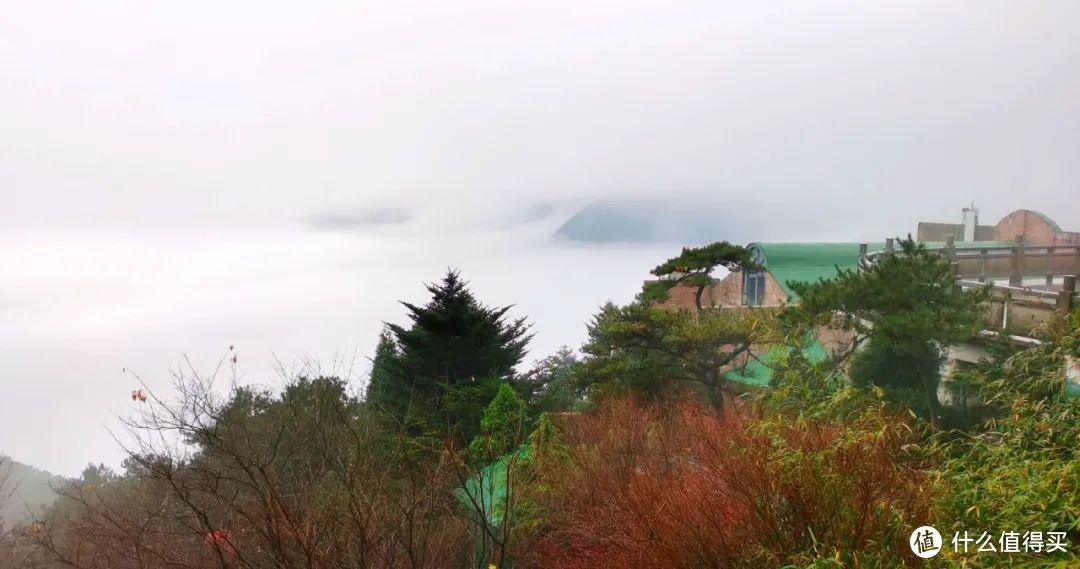 不识庐山真面目，只缘身在雾海中，庐山两日游