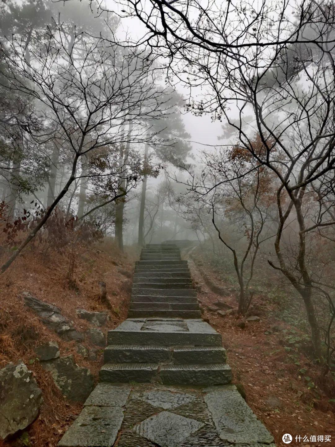 不识庐山真面目，只缘身在雾海中，庐山两日游