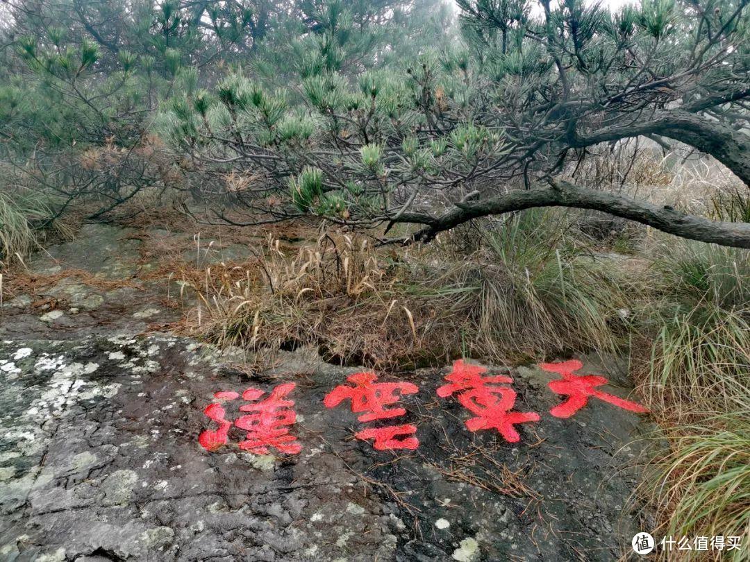 不识庐山真面目，只缘身在雾海中，庐山两日游