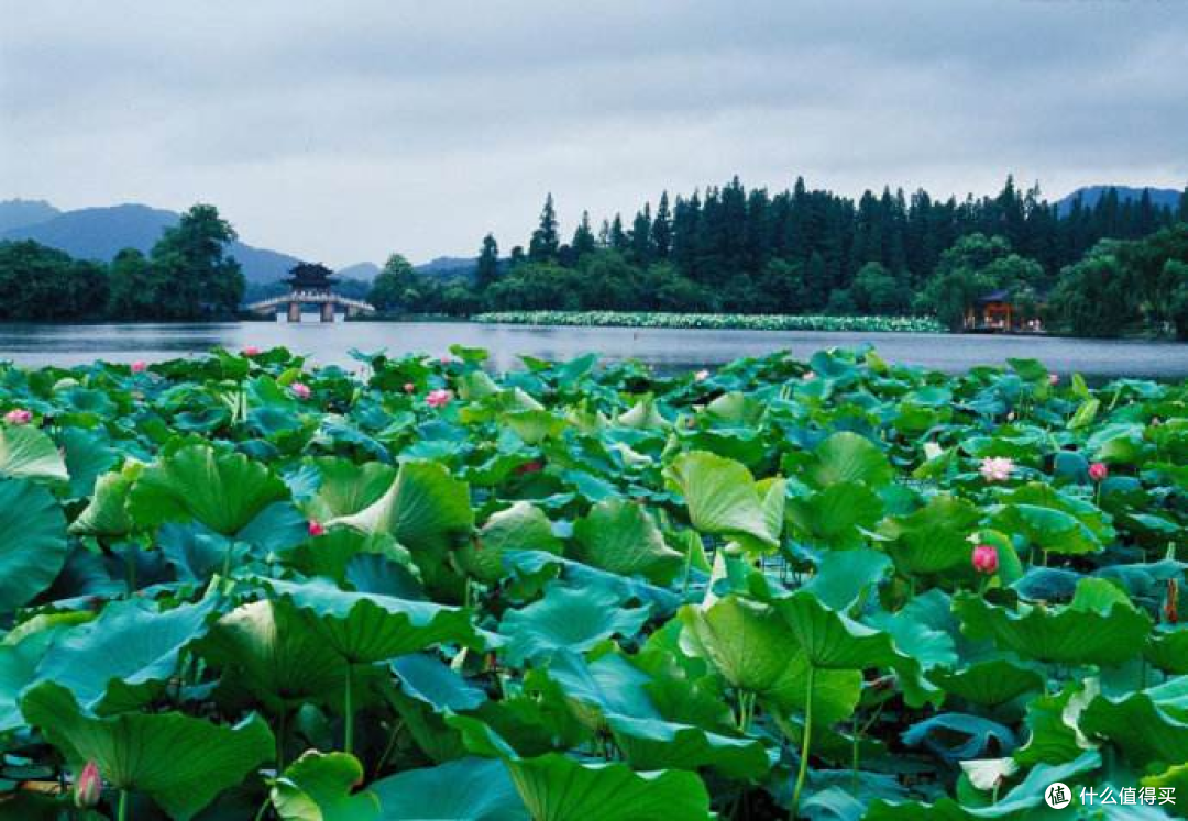新风机，气温，耗电，三者关联性大不大，数据+主观判断篇