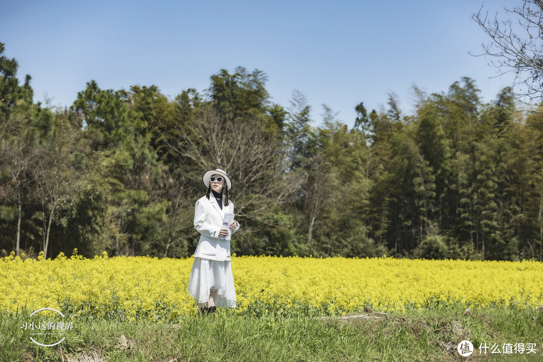 自驾春游郎溪，五颜六色的花花谁不爱