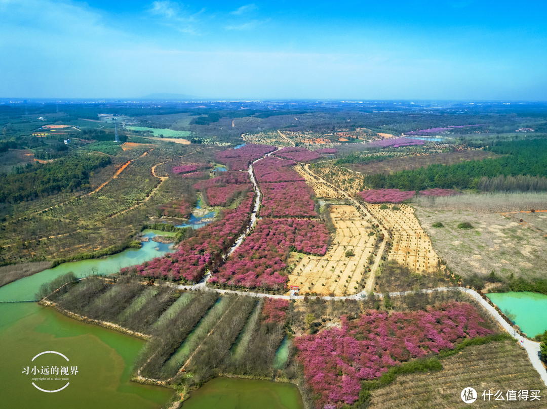 自驾春游郎溪，五颜六色的花花谁不爱