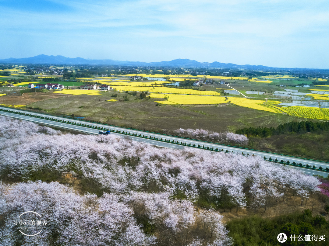 自驾春游郎溪，五颜六色的花花谁不爱