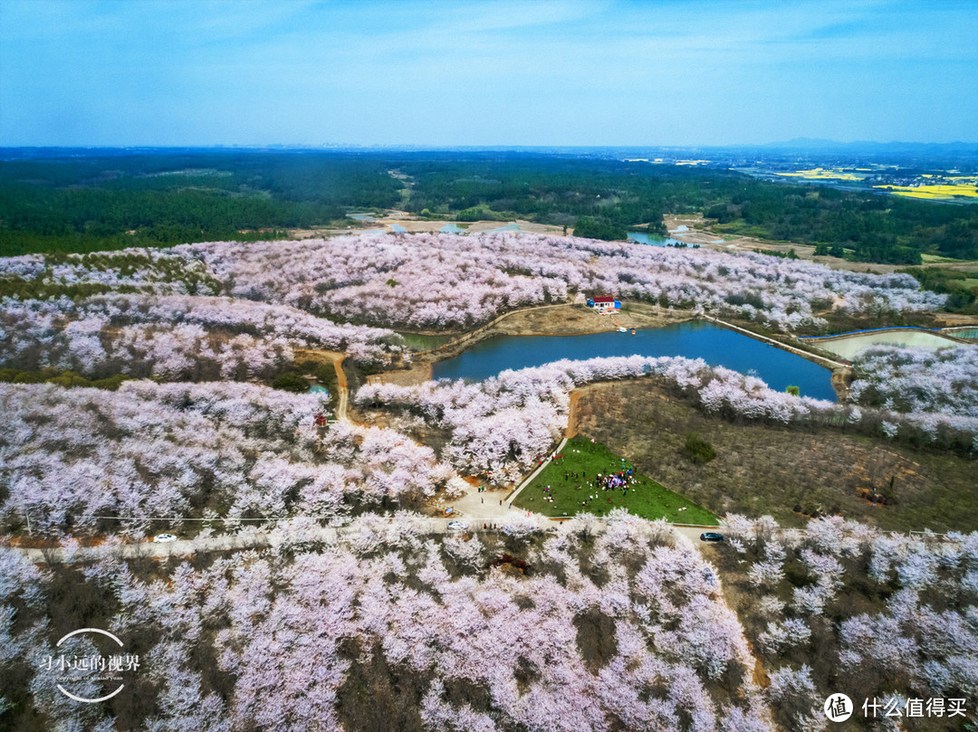 自驾春游郎溪，五颜六色的花花谁不爱