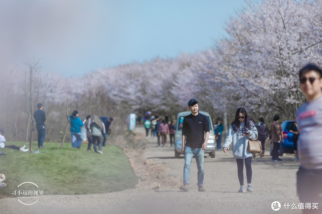 自驾春游郎溪，五颜六色的花花谁不爱