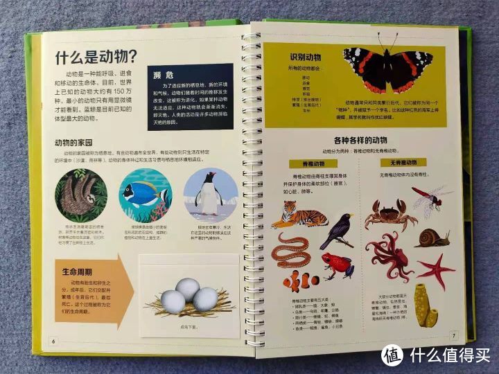 绘本并不是只能读，适合3~6岁孩子可以“玩”的绘本推荐