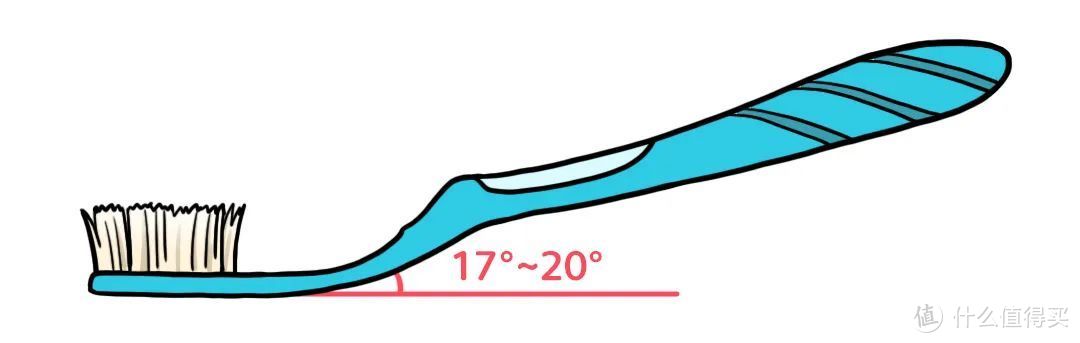 牙刷千万别随便选丨抗菌牙刷真的有效？刷毛越软越好？