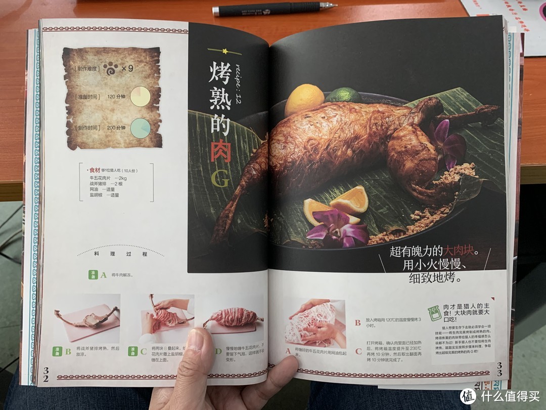 终于可以吃到主子做的饭了-小评《怪物猎人猫饭食谱》