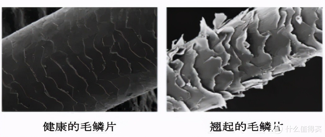 听说硅油是头发的“杀手”？扒一扒洗发水中硅油的真相！