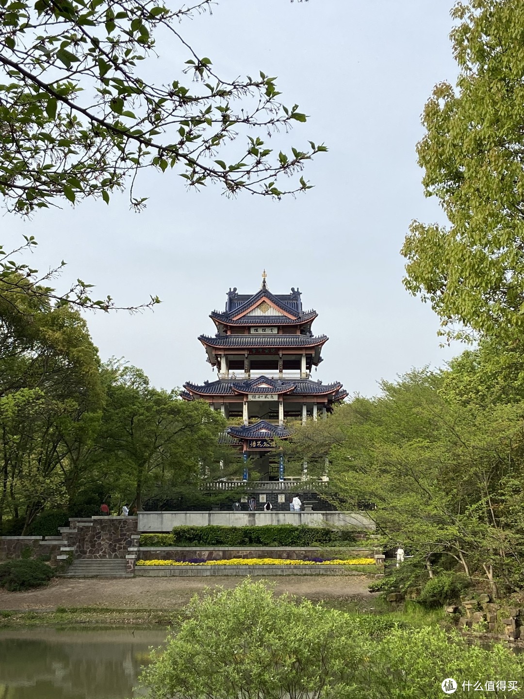 春日昂扬樱花绽  意气风发全马成----记2021年无锡马拉松之行