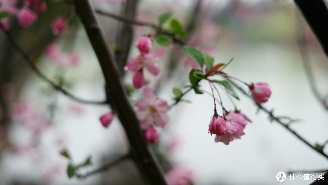 烟花三月下扬州，72H扬州镇江行（吃住篇）