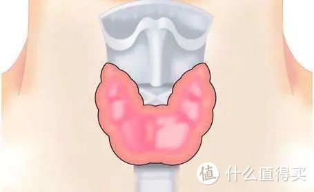 甲状腺结节投保指南，这些产品适合你！