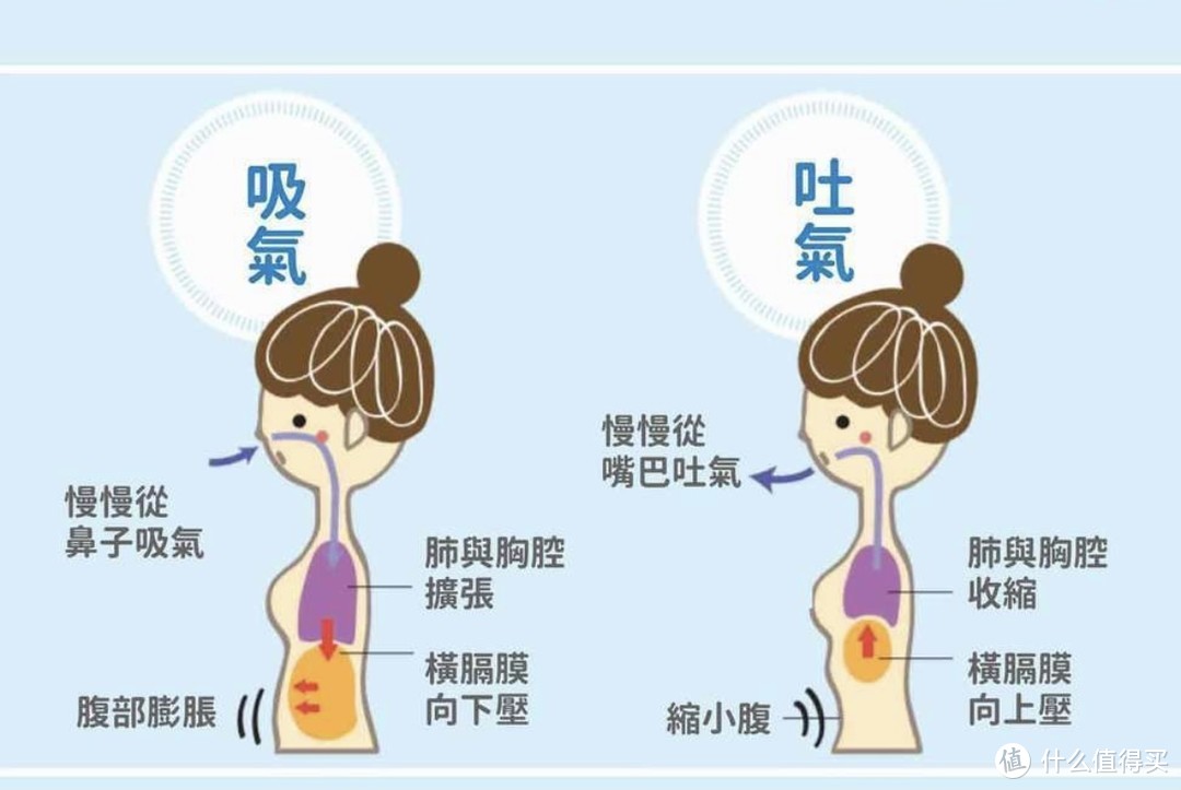 腹式呼吸被传神话，那到底该怎么呼吸，超细致讲解来啦。