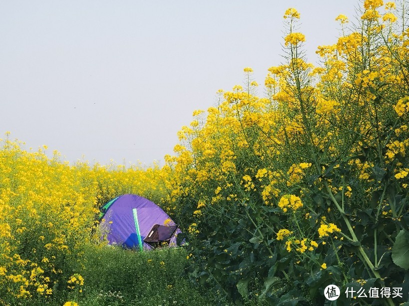 繁花深处是我家，看着很唯美， 其实方圆500米超多山坟