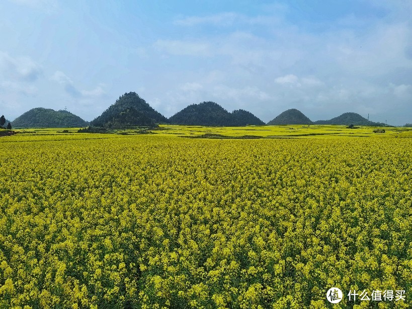 金鸡峰丛油菜花海，门票20大洋， Ps:发现油菜花的照片上传后压缩好厉害