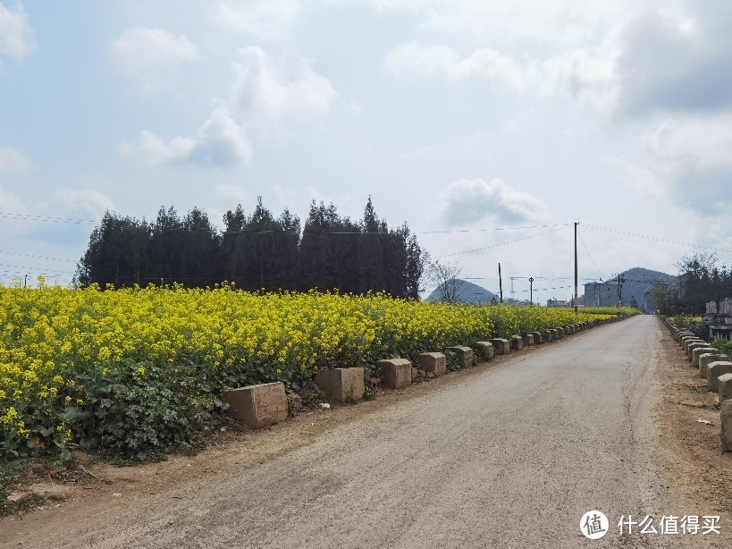 奔跑在这样的乡道上，肉眼可见的艳阳天