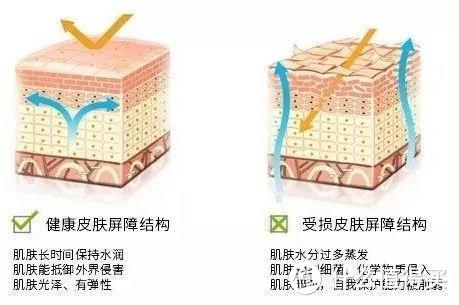 Acetyl Pentapeptide-4乙酰基七肽-4调节皮肤菌落平衡