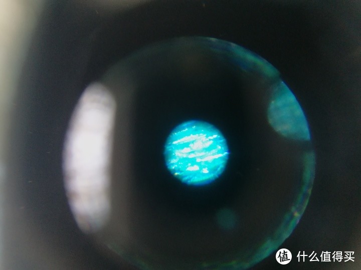 星特朗CELESTRON S82105 120倍显微镜开箱测评