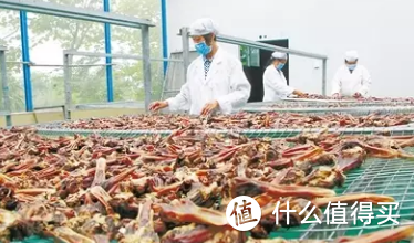  粤港澳大湾区 珠海特产横山鸭扎包好吃到停不下来！ 大湾网推荐