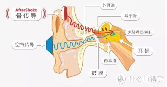 只为听个响，花99元买骨传导蓝牙耳机 Sounder X4，值吗？