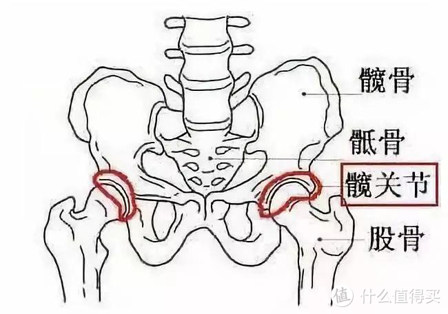 浅谈划船机的正确姿势与训练方法（广西赵又廷无码出镜！）