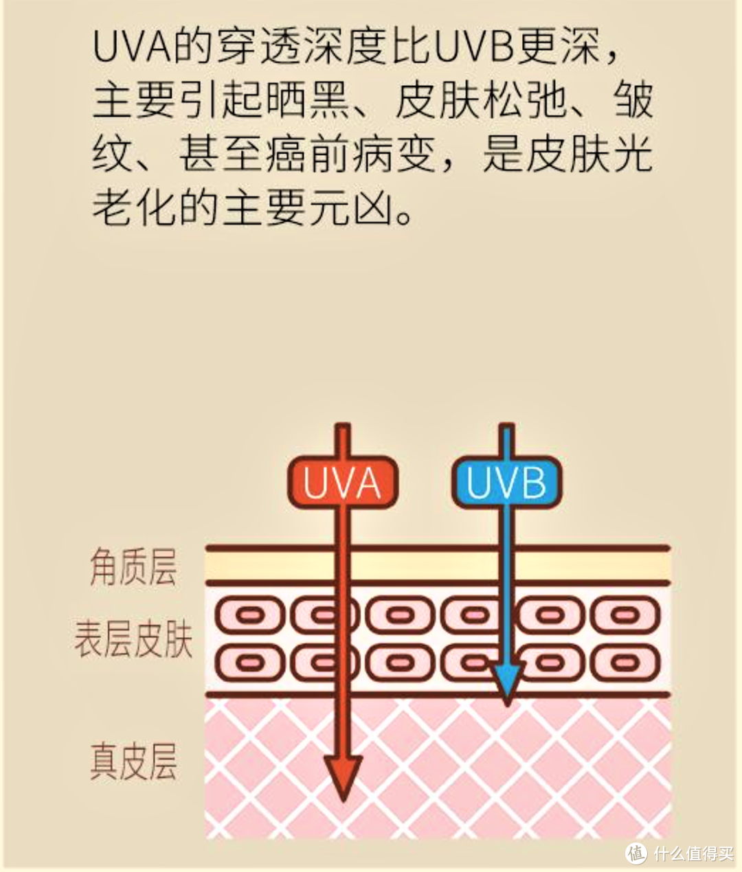 要想皮肤好，防晒不可少——混油皮夏季防晒产品盘点