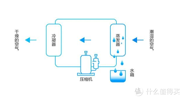 广东回南天辣么难，除湿机应该如何选择？