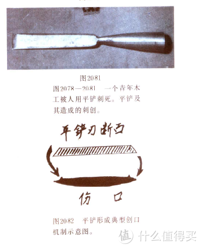 涨姿势又下饭——关于法医的图书影视剧分享