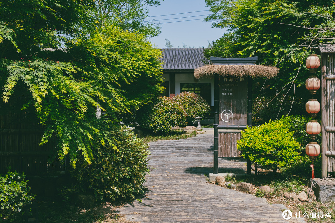 竹海红庐，里面很多枫树