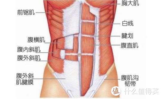 10个腹肌训练动作，4周练出迷人马甲线