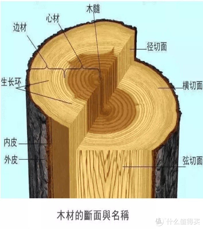 颠覆认知：实木家具不用胶？拼板到底有啥猫腻？橡木能不能做定制？直纹山纹哪个更好？弦切径切分析！