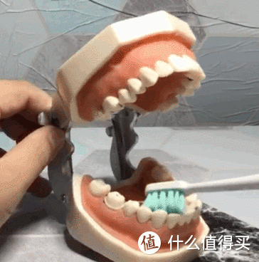 好好清洁牙齿，正确刷牙的打开方式