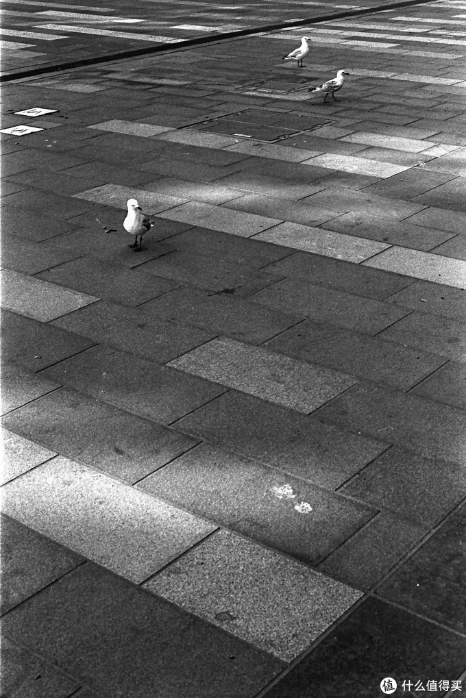 多么重的领悟:Minolta XE-1