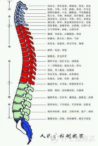 床垫应该怎么选择？席梦思|乳胶垫|海绵|软床垫子应该选择什么的的？科普床垫选购！！