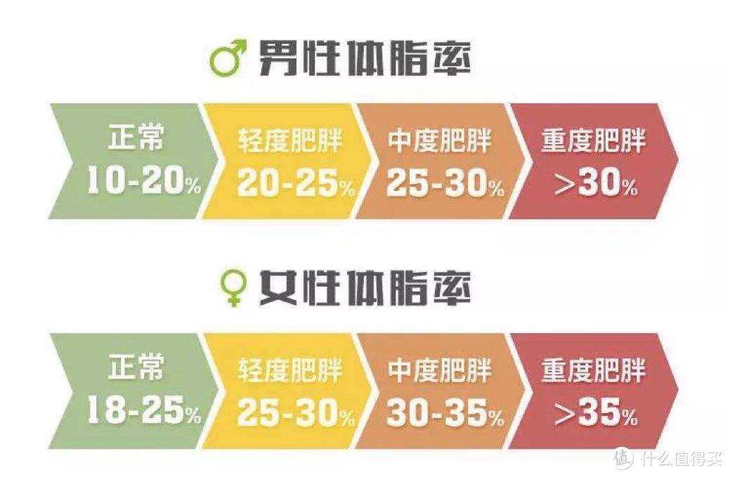 滚蛋吧，脂肪君！减肥别总盯着体重数！追求健康的体脂率，比体重数更有意义