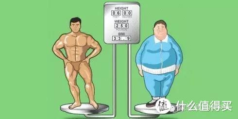 滚蛋吧，脂肪君！减肥别总盯着体重数！追求健康的体脂率，比体重数更有意义