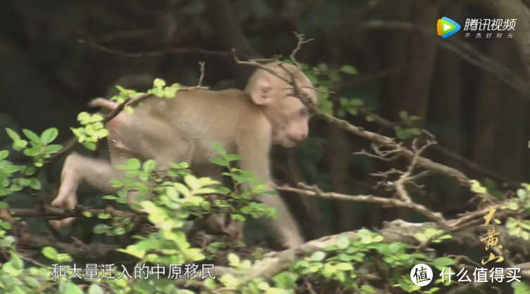 在家看世界！盘点15部中国绝美旅行纪录片 丰盈孩子的内心 滋养孩子的灵魂！（附观看链接）