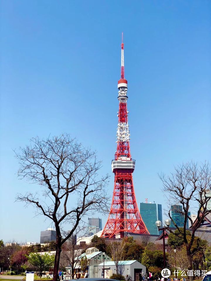 今年未赴的赏樱之旅，来年必当补上