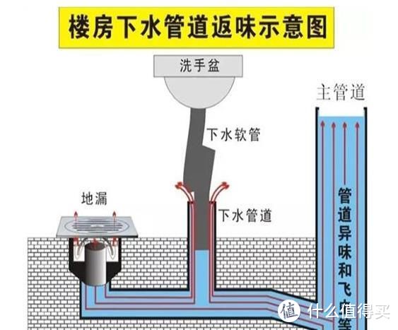 不起眼的地漏用处可大了，选择好地漏，远离臭气和蚊虫