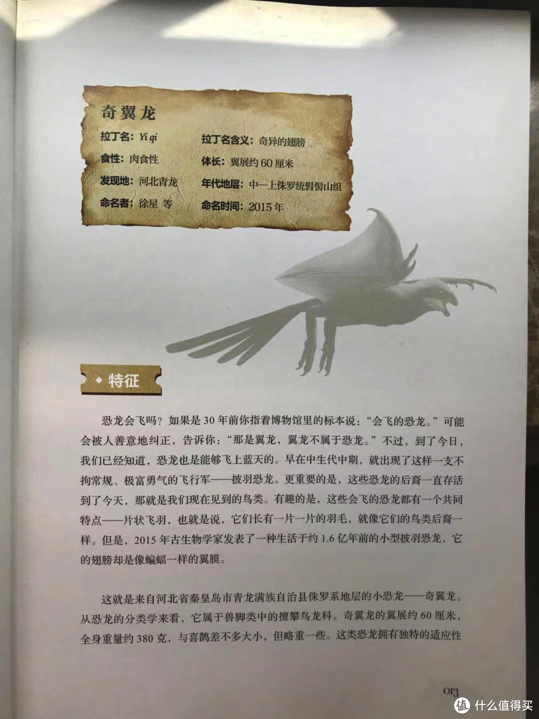 恐龙名字的由来：霸王龙不叫霸王龙？隐龙与《卧虎藏龙》有关？