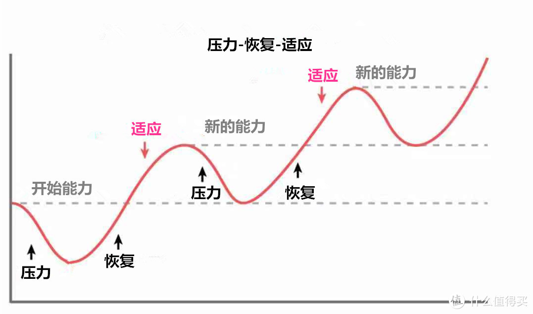 压力-恢复-适应循环