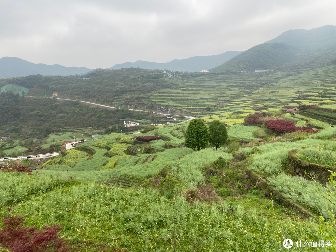 浙江覆卮山景区一日游：看石浪，赏梯田