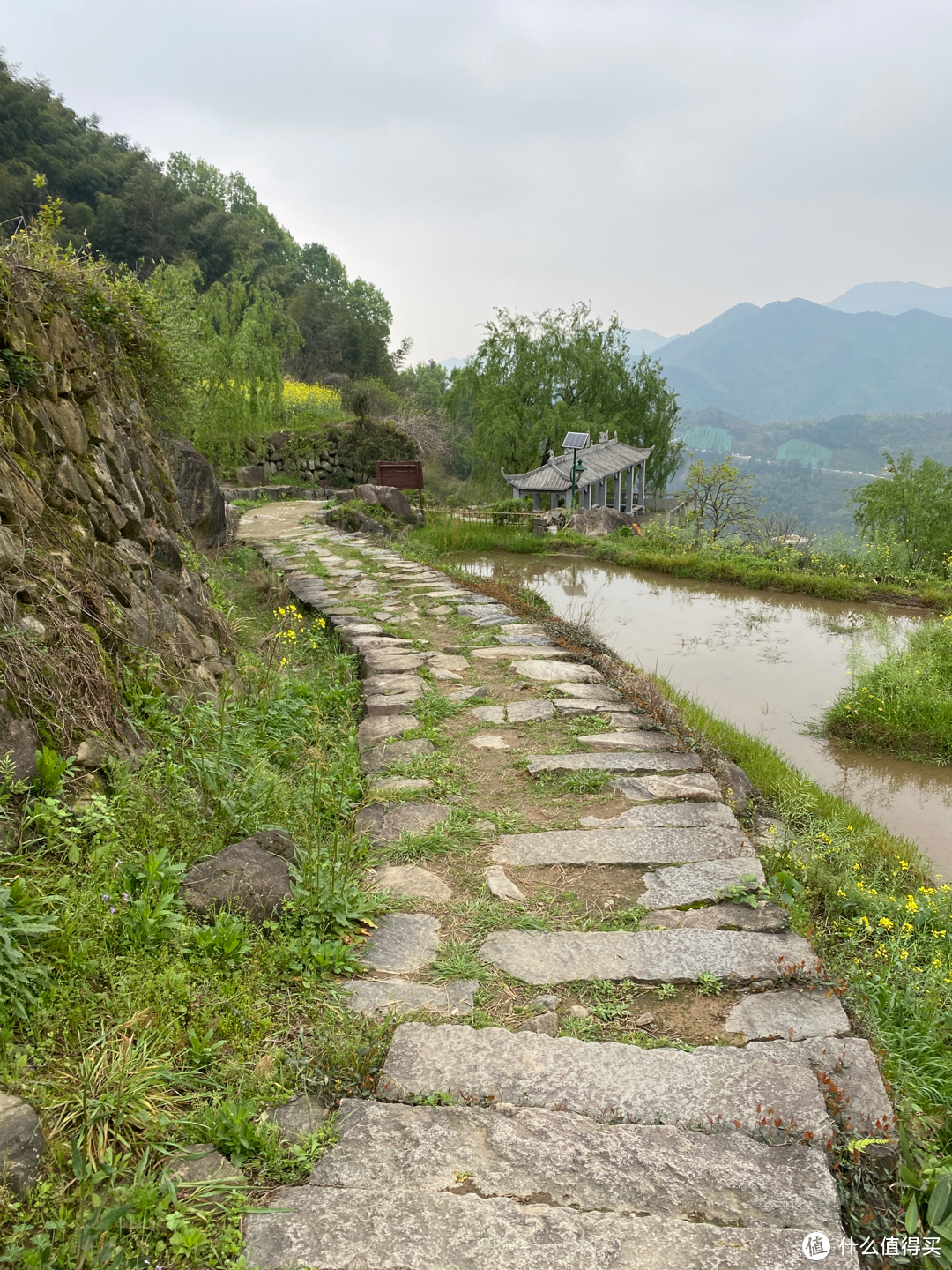 浙江覆卮山景区一日游：看石浪，赏梯田