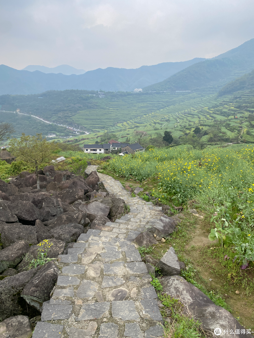 浙江覆卮山景区一日游：看石浪，赏梯田