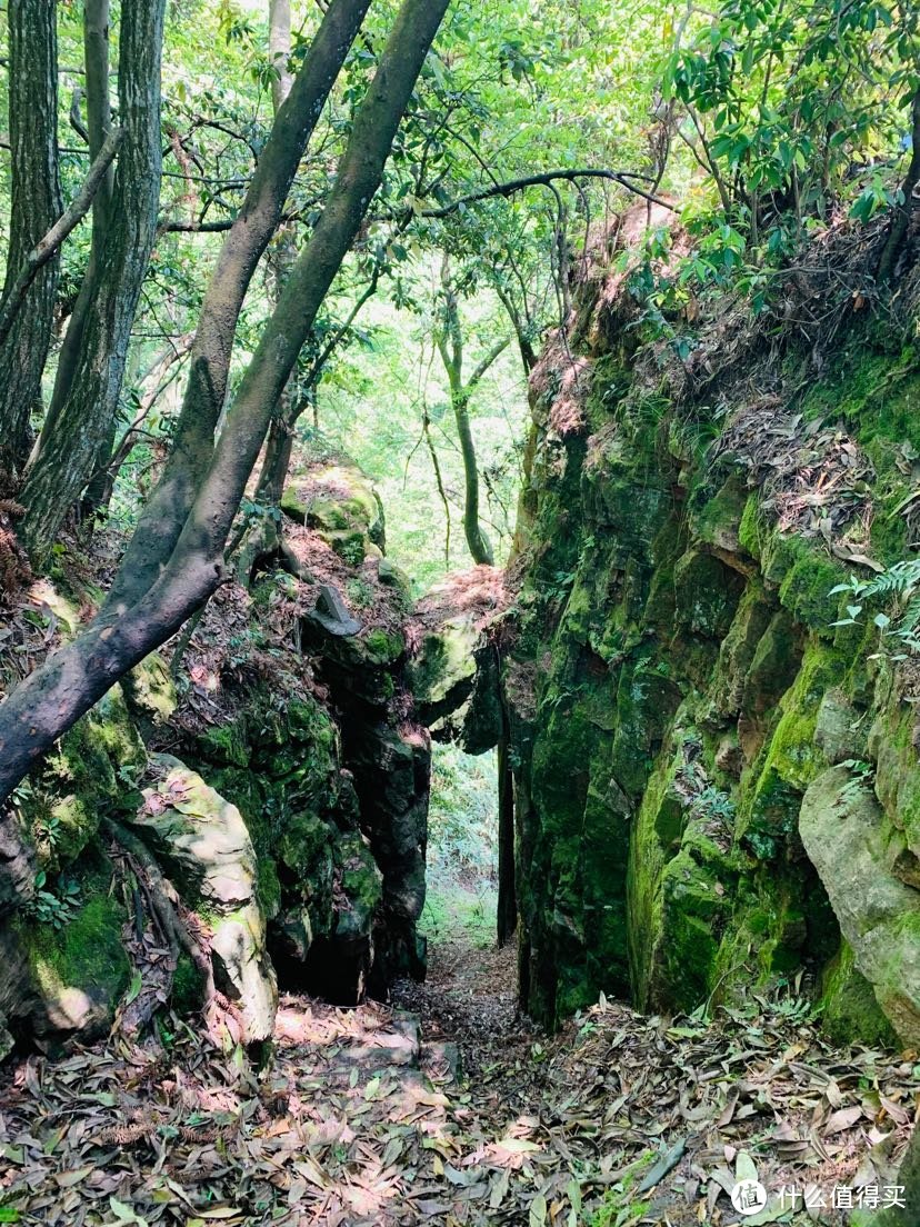 据说是86版西游记三打白骨精取景地