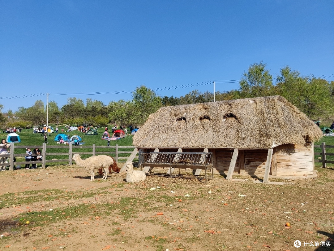 五一长假好去处——大连三寰牧场的风景美如画!