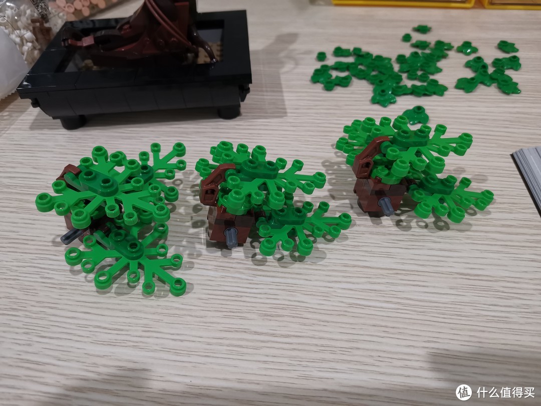 LEGO 花草植物系列 10281 盆景盆栽 评测