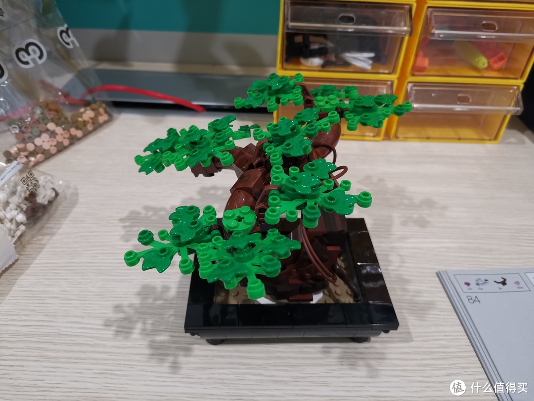 LEGO 花草植物系列 10281 盆景盆栽 评测